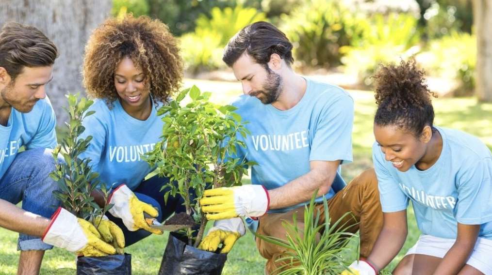 Volunteering and Community Service: Building Skills and Making an Impact