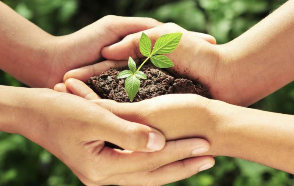 Eco-Friendly Habits: How Students Can Lead the Way in Sustainability