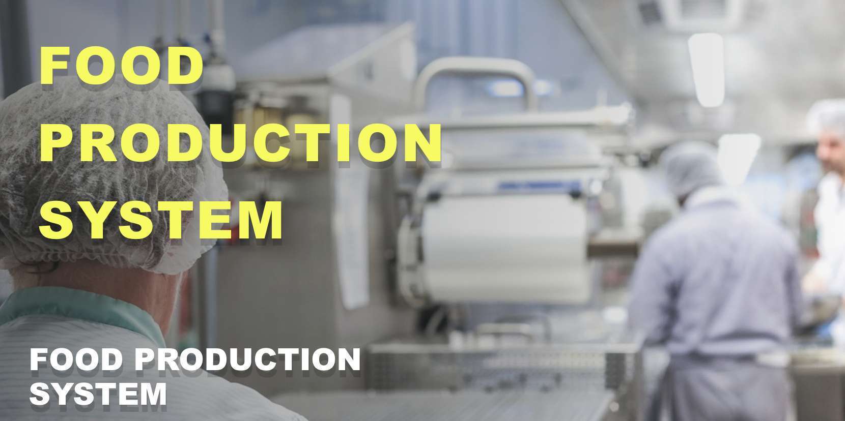 Food Production System Design and Implementation