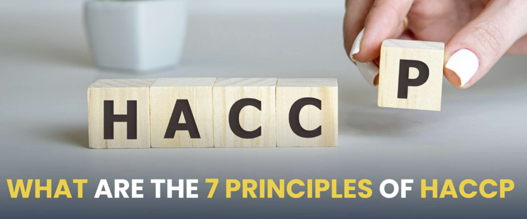 7 Principles of HACCP