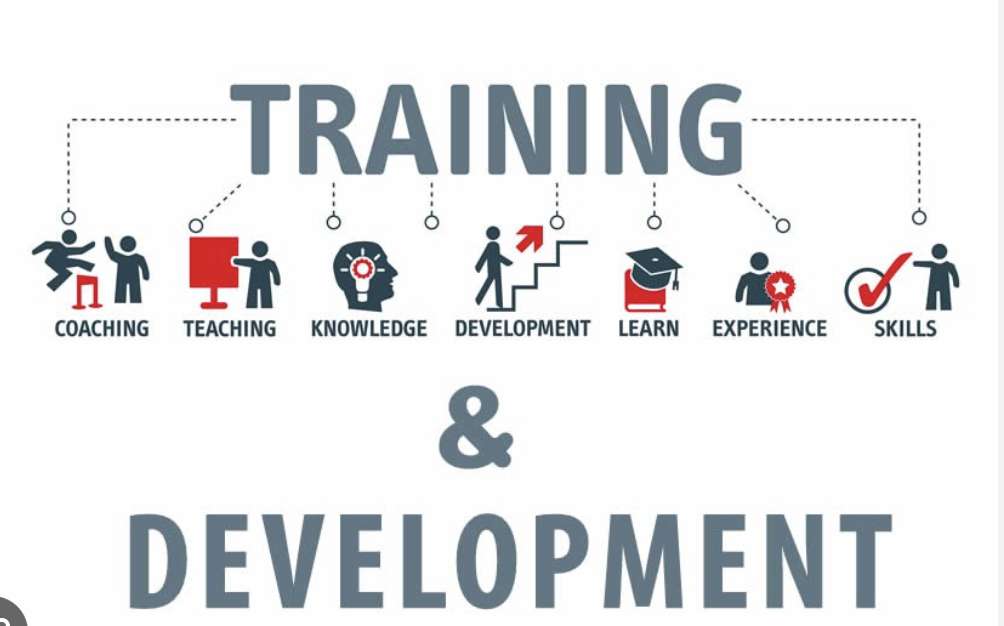 Training and Development (BBM)